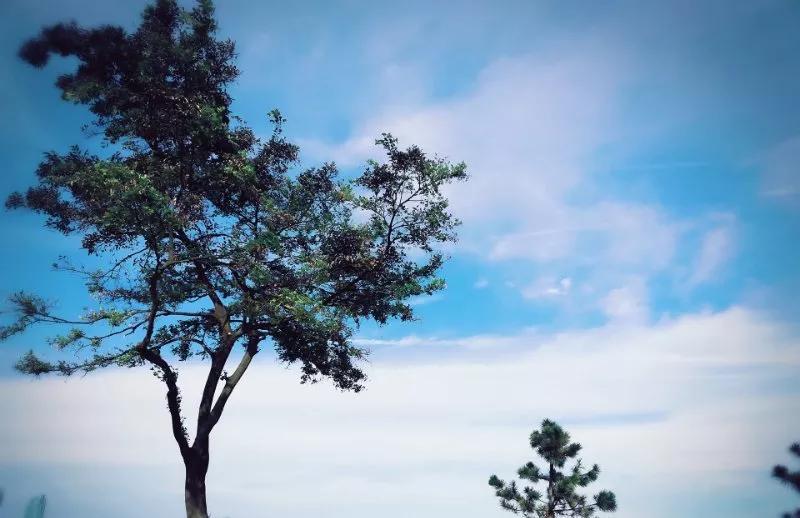 秋天到了，是时候给小脑袋贴点儿雅思膘了~