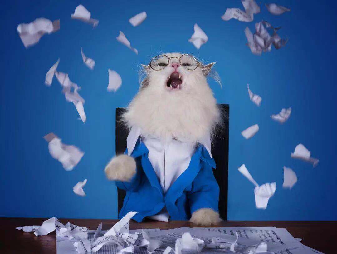 不看雅思就上考场能有多骄傲？不堪一击好不好！