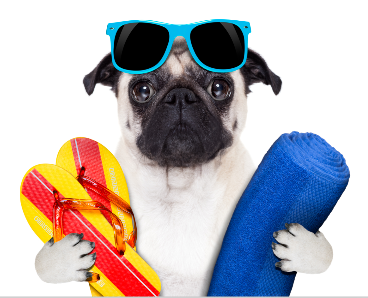 美国洛杉矶大火逼近高校 华裔学生躺椅子上过夜