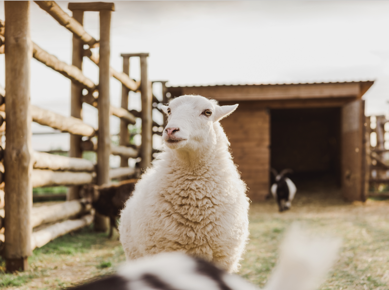 加拿大曼尼托巴留学生移民 部分项目有职业限制