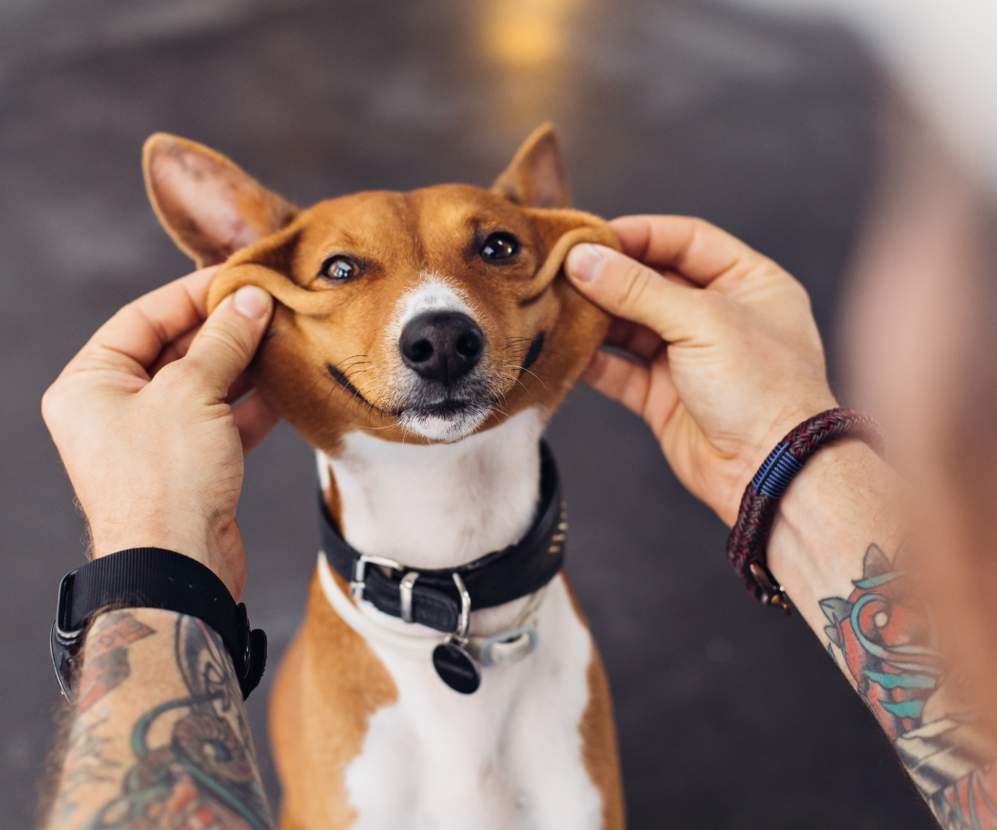 美国：中国留学生存学费账户被强制关户以防洗钱