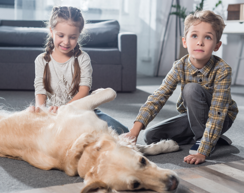 英国新移民政策倾向吸收更多人才