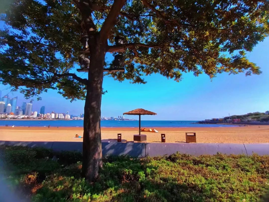 想和你看着落日，只谈微风和雅思~