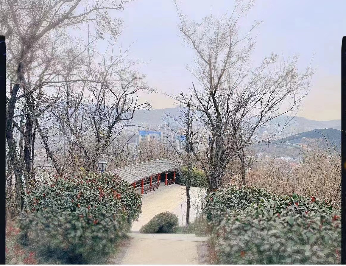 低头是雅思题海，抬头是前程似锦