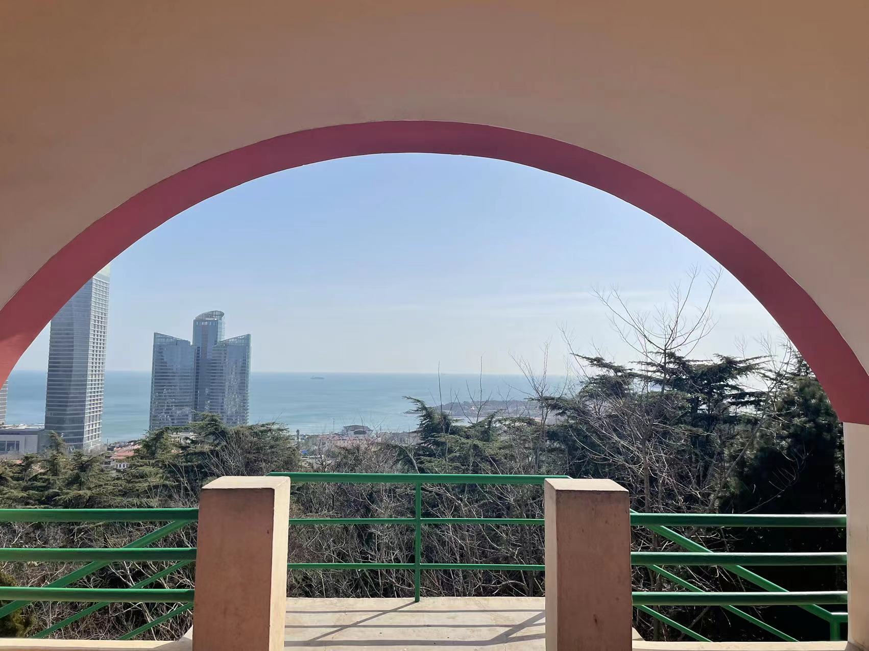 读书，“屠鸭”，追梦，长大......