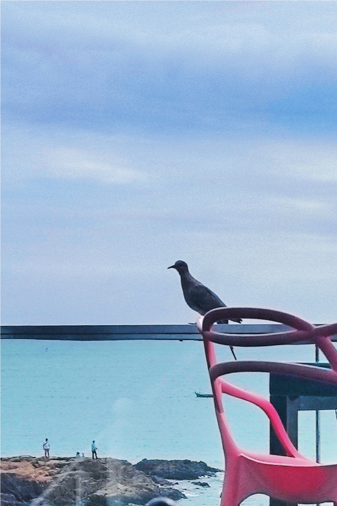 2024年9月19日雅思真题发布