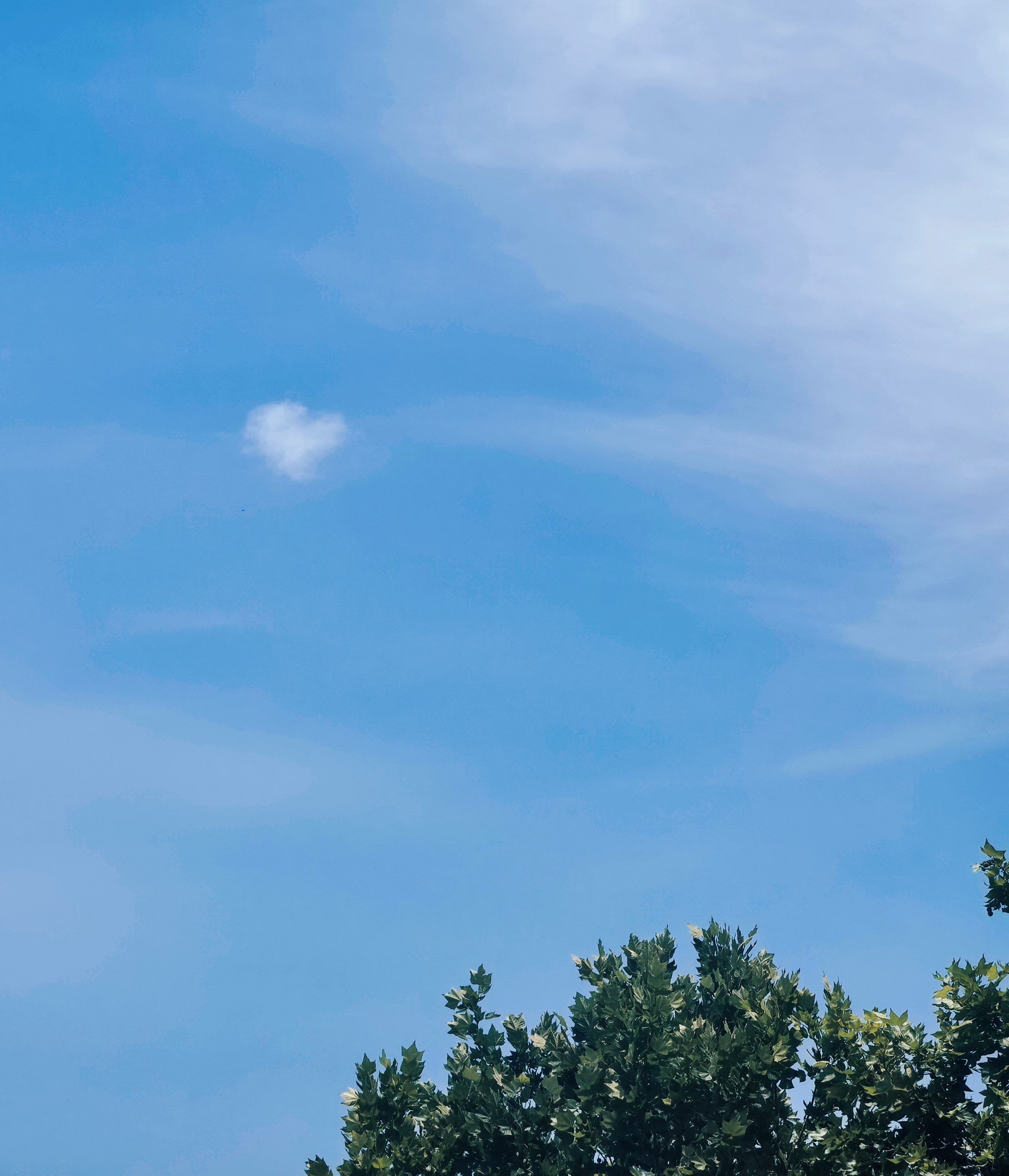 2025年7月3日雅思真题发布