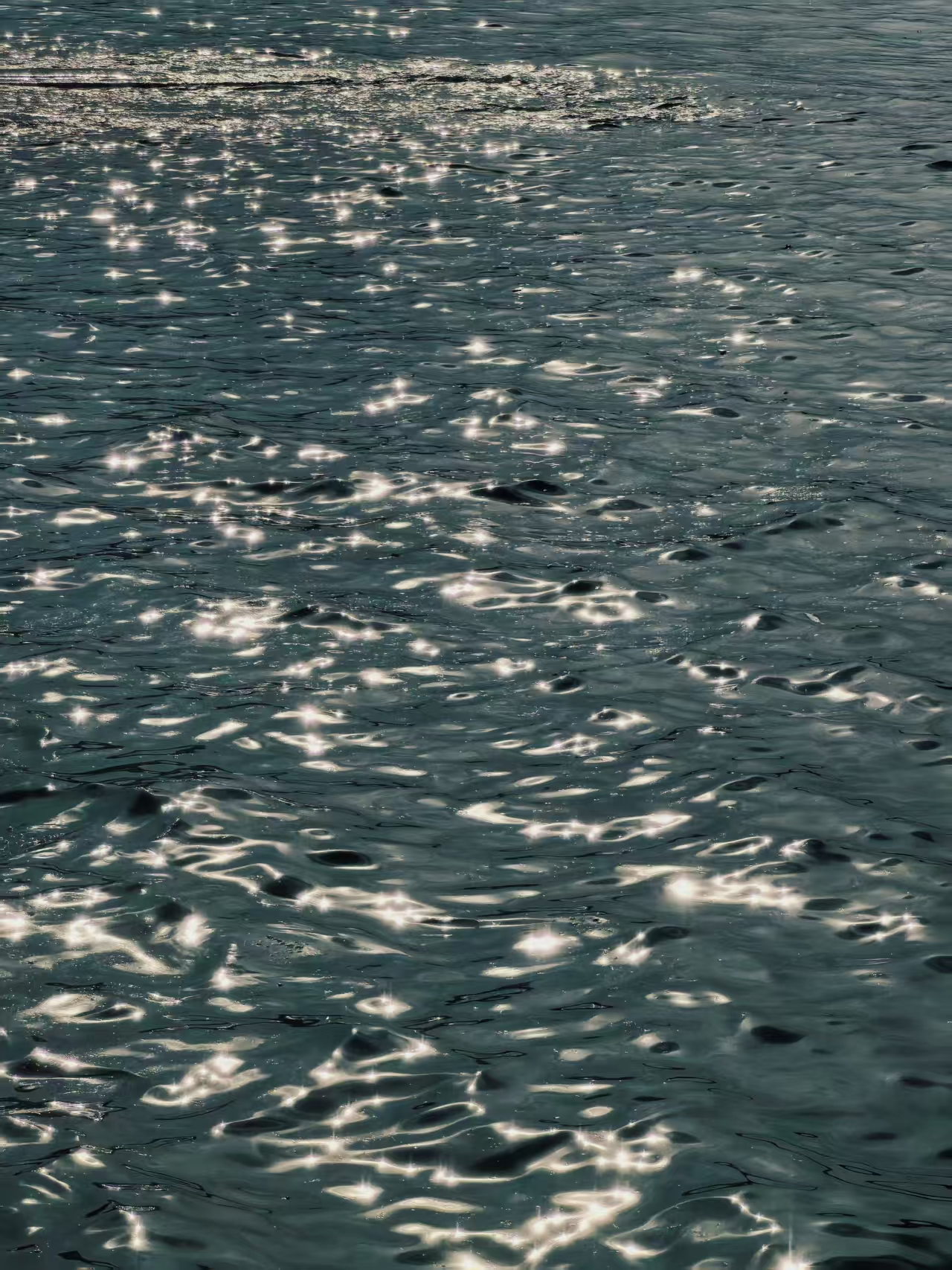 2025年7月31日雅思真题发布