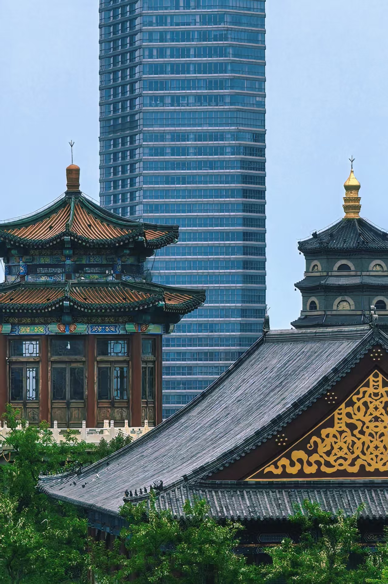 2025年9月11日雅思真题发布