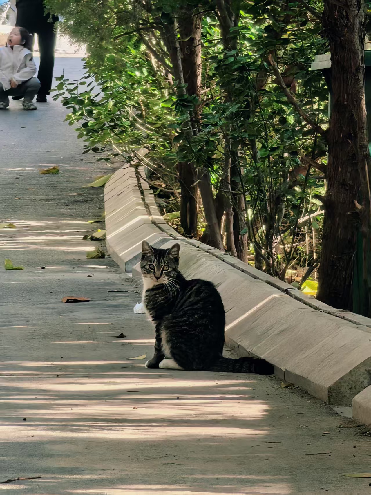 2025年10月30日雅思真题发布